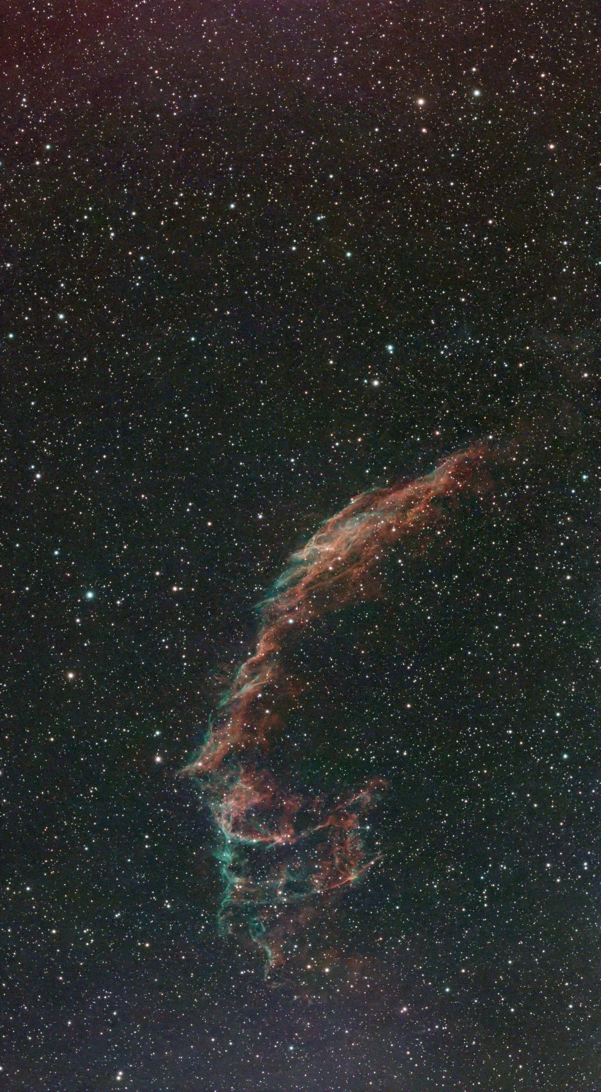 C 33